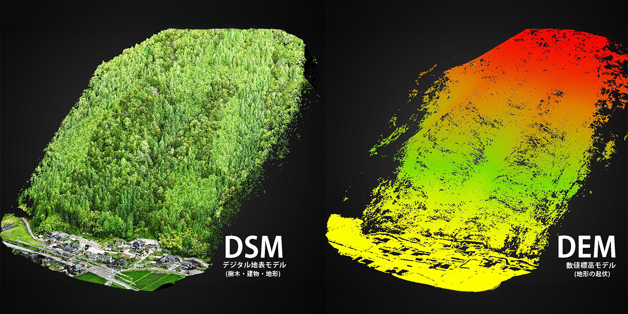 DSMとDEM